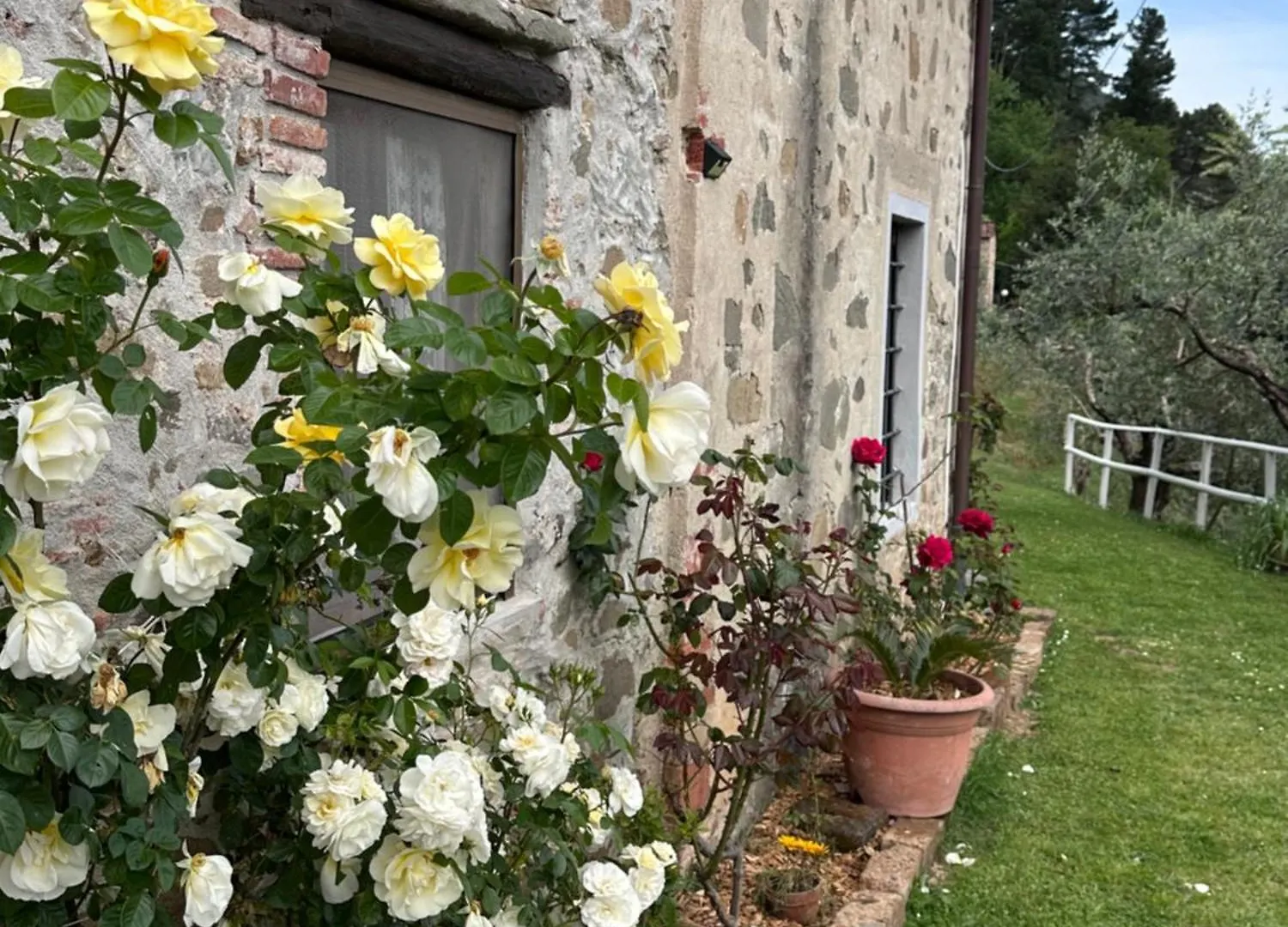 Case Vacanze Giovanni Garibaldi Pescaglia Apartment