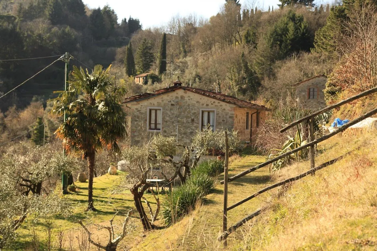 Appartamento Case Vacanze Giovanni Garibaldi Pescaglia Italia